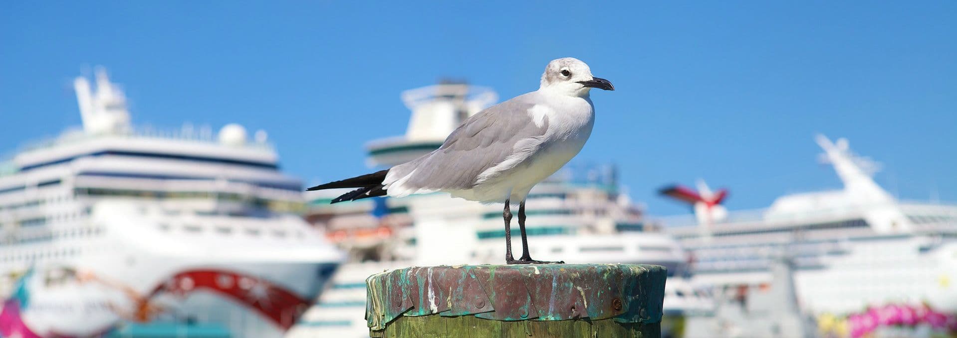 Excursiones privadas para pasajeros de cruceros en Lanzarote