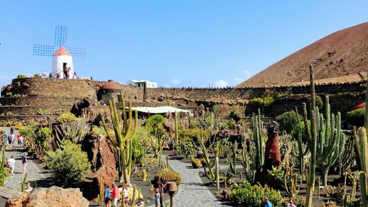 Cactus Garden in Guatiza Lanzarote designed by César Manrique