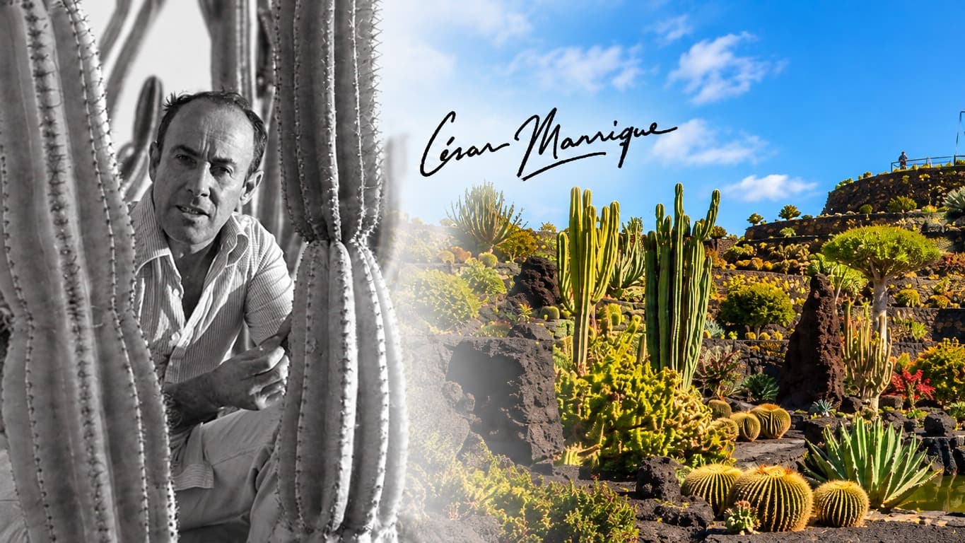 Vista general del anfiteatro del Jardín de Cactus diseñado por César Manrique en Guatiza, Lanzarote
