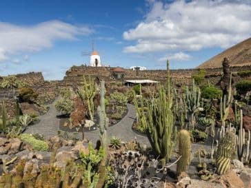 Jardín de Cactus (Kaktusgarten)