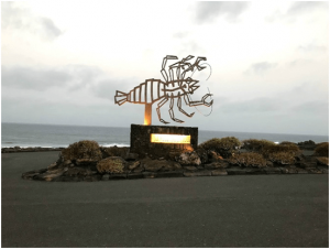 The Jameos del Agua crab