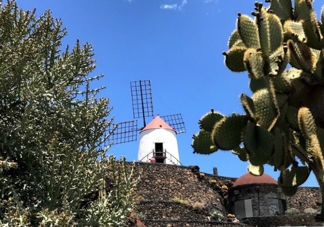 obra de cesar manrique jardín del captus