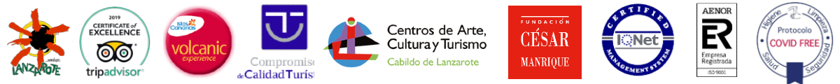 Lanzarote Experience Tours