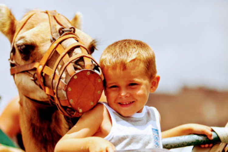 Camel ride