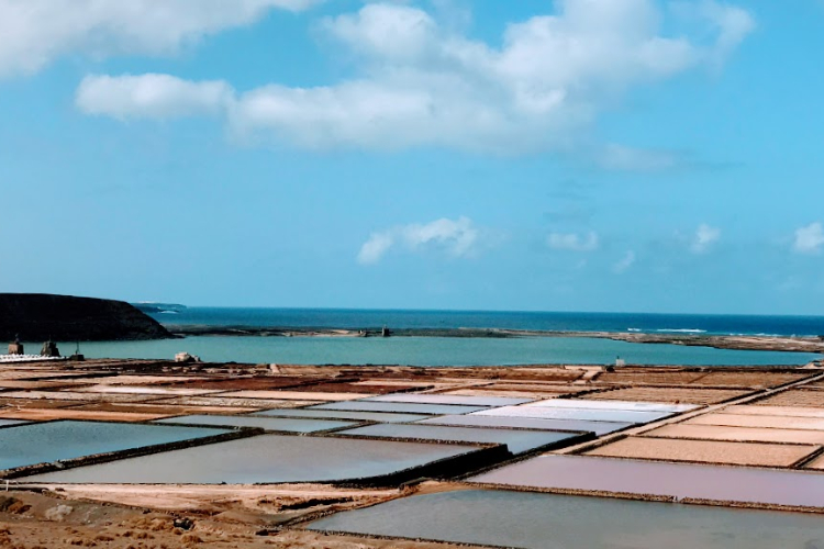 Salinas de Janubio