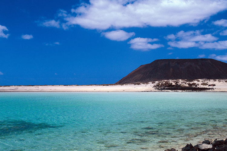 foto lobos LANZAROTE EXPERIENCE TOURS 