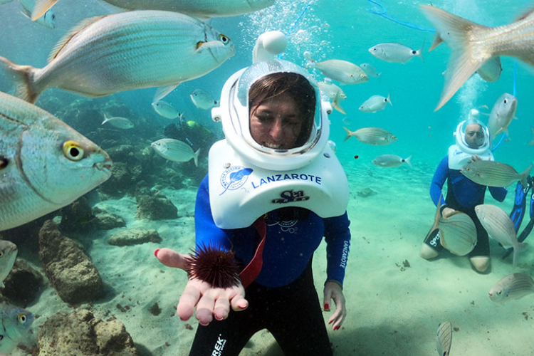 Sea Trek Lanzarote Experience