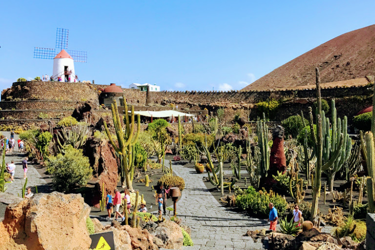 Kaktus Garten Lanzarote