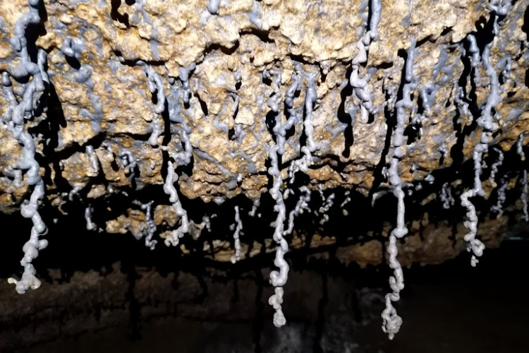 Espeleología5