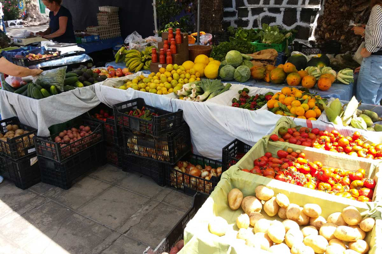 Mercadillo Teguise 3