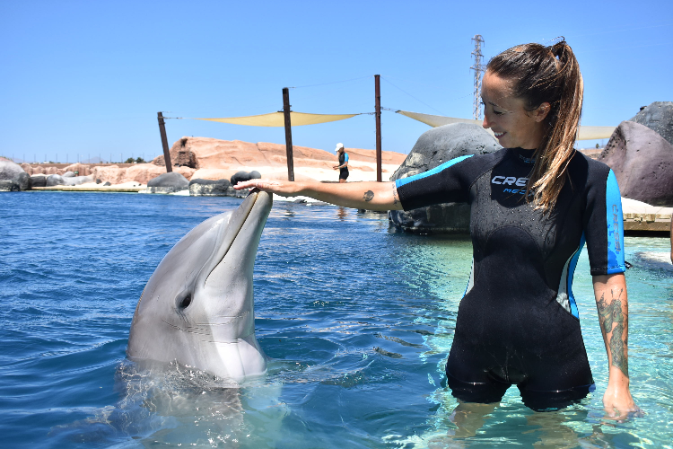 Rancho Texas Dolphins