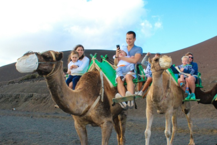 camel ride 5