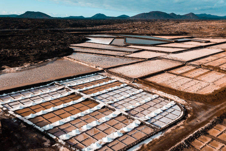 Salinas de Janubio