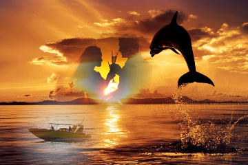 Sunset and Dolphins Cruise